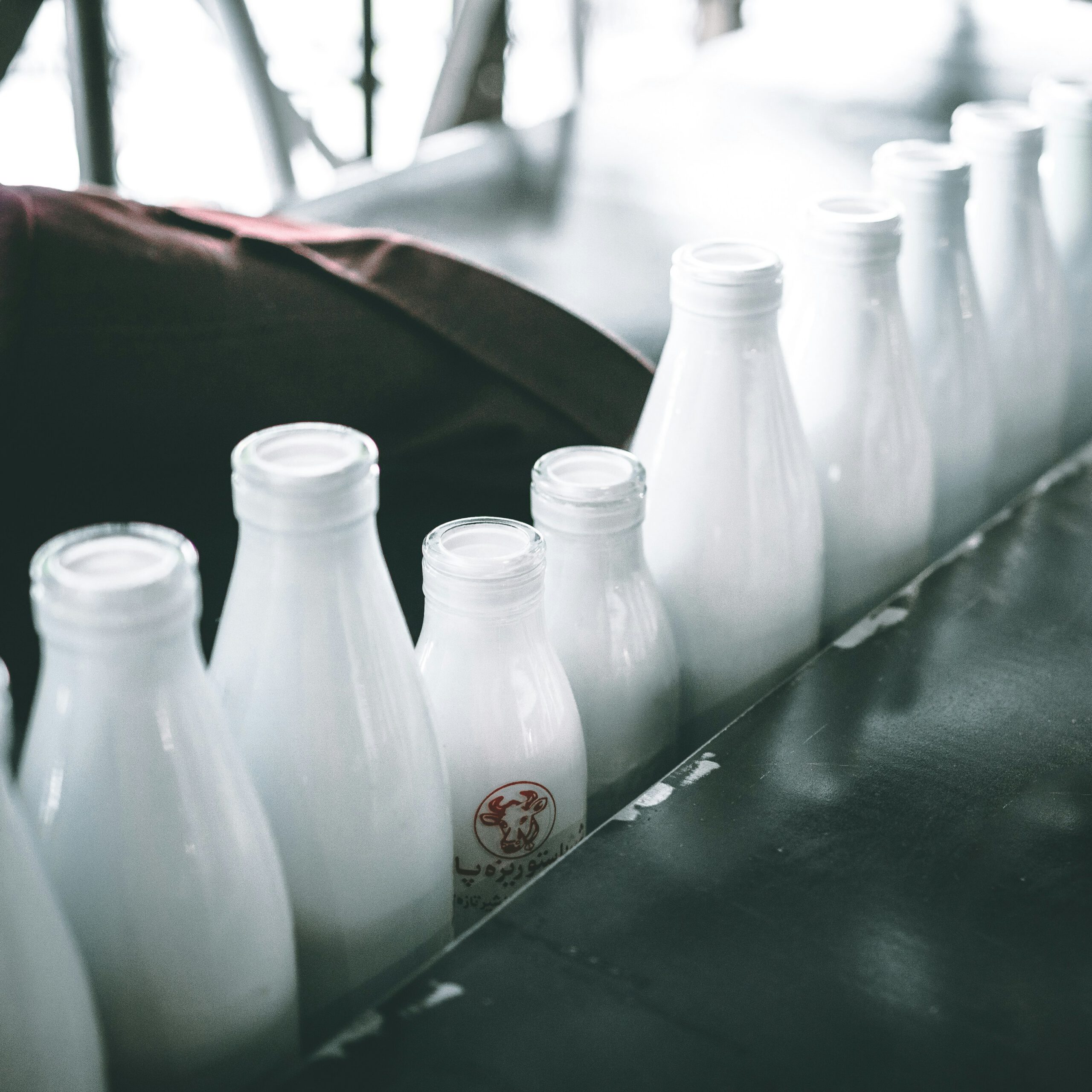 Dairy Products